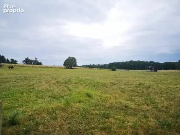 Terrain 2 409 m² à vendre à Breuilh (24380)