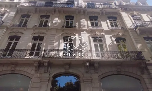 Logement De Caractère Dans Triangle D'or ou Investissement Loca