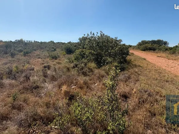 Terrain 11920 m² CASTELNOU