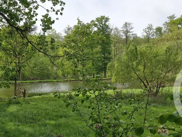 Terrain 2291 m²