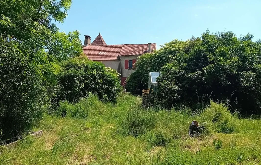 Photo 13