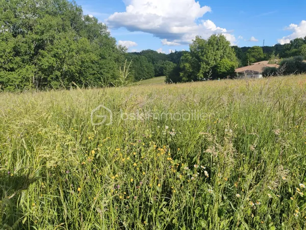 Terrain 1695 m²