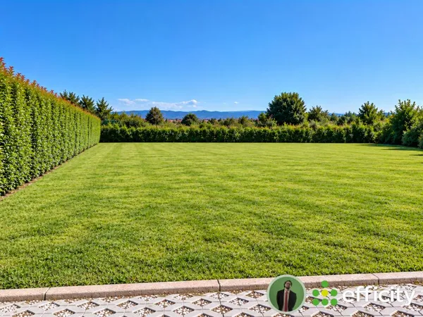 Terrain 531 m²