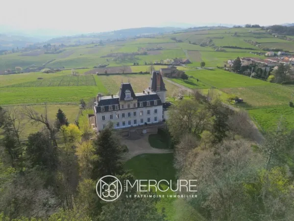 Château historique au coeur du Beaujolais