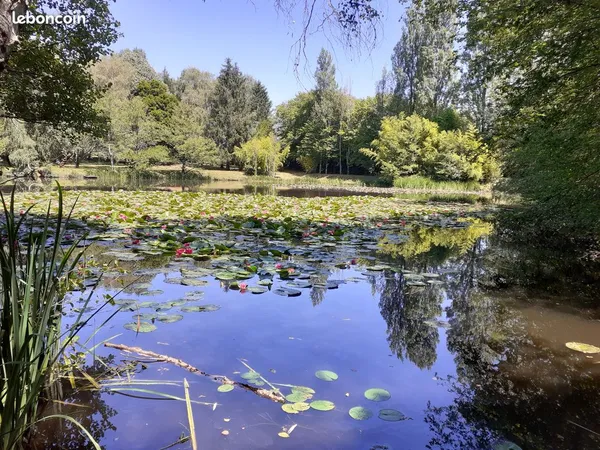 Etang 1 hectare Cluis (Indre)