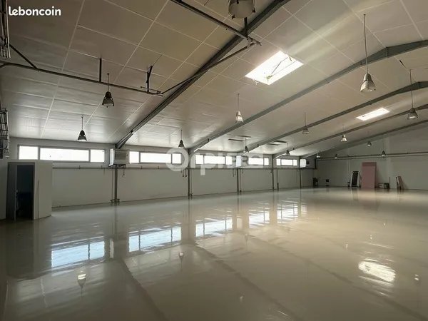 Local d'activité 240 m²