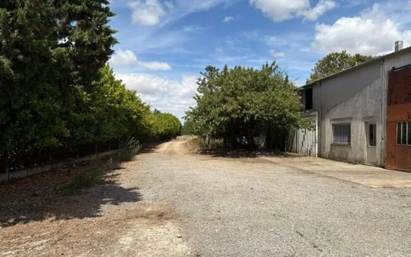 Photo 7