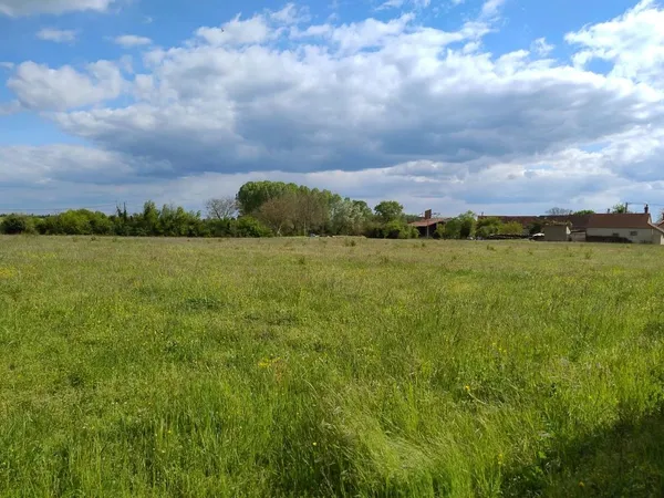Terrain constructible 12 032 m² à vendre Osmery Cher (18)