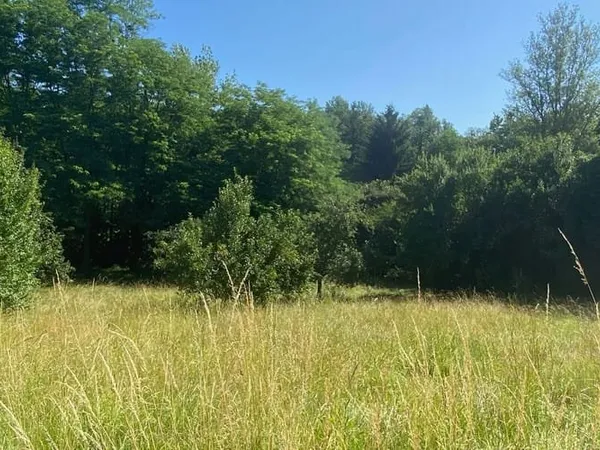 Terrain 2750 m²