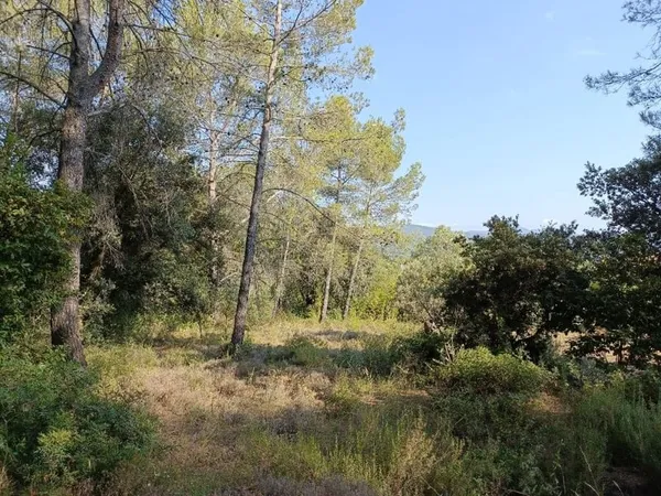 Terrain 566 m²