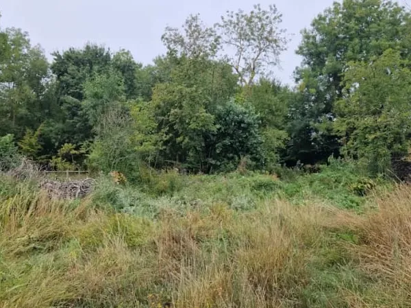 Terrain 1010 m²