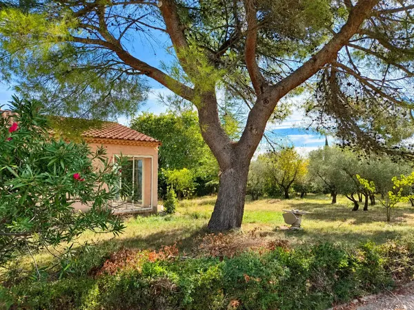 Maison plain pied, garage, jardin 1500m2, proche village