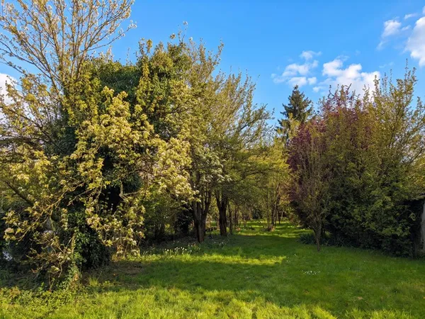 Terrain à vendre sur Seraincourt