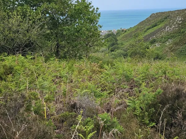Terrain 4924 m²