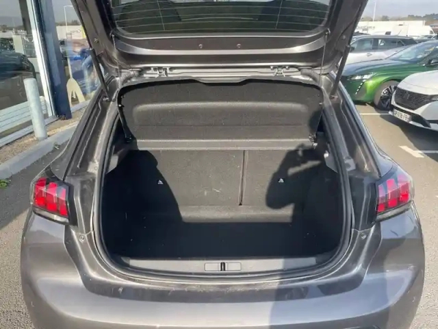 Peugeot 208 puretech 100 s&amp;s eat8 — photo 8