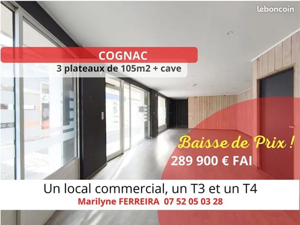 Immeuble 10 pièces 226 m²
