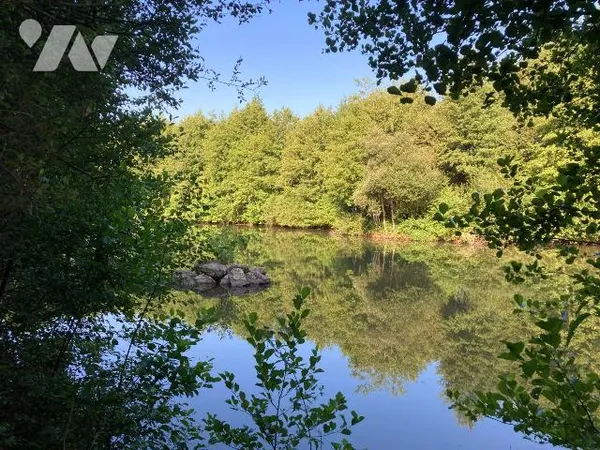 Terrain 12000 m²