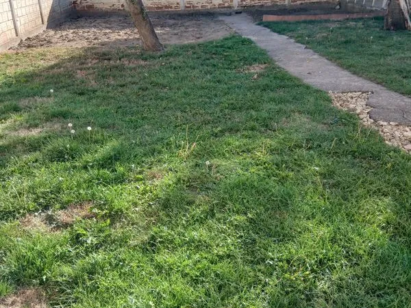 Vepavillon 6 pieces 2 garages jardin a villeparisis