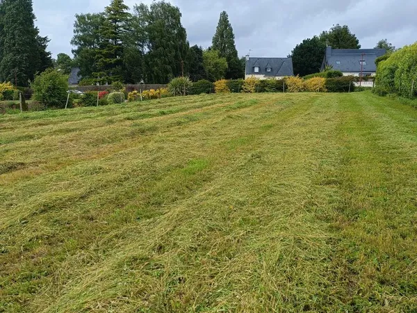Terrain constructible