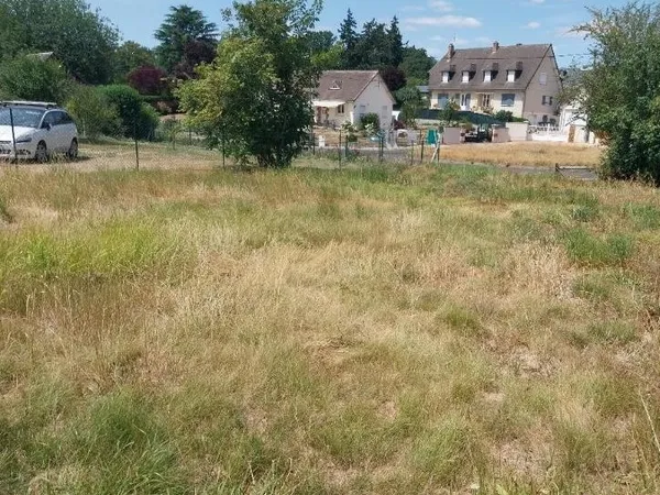 Terrain 1000 m²