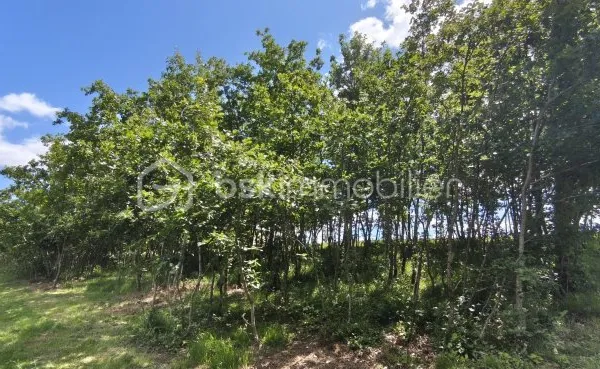 Terrain 1760 m²