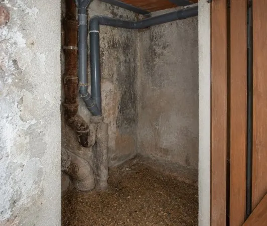 Loue cave - 3m²
