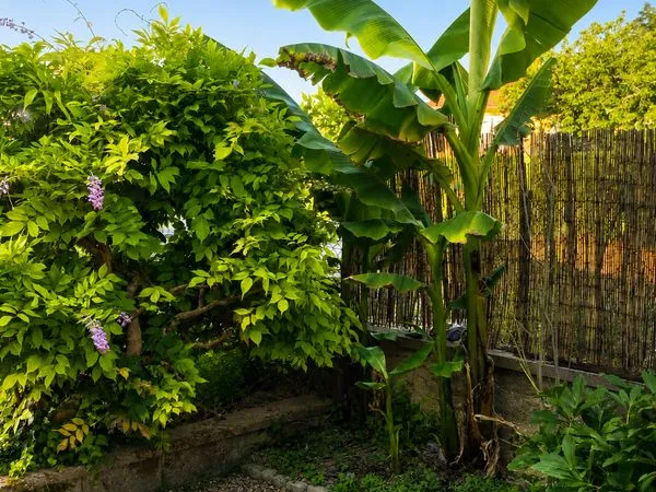 Belle maison familiale 157m2 + studio 27m2