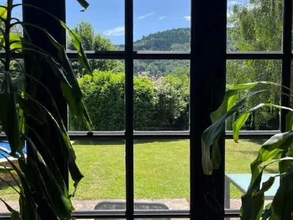 Maison 300 m² Le Val D Ajol