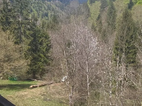 Maison au calme