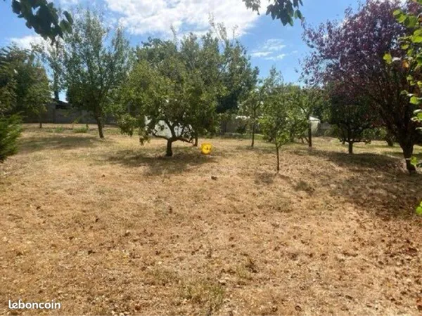 Terrain agricole