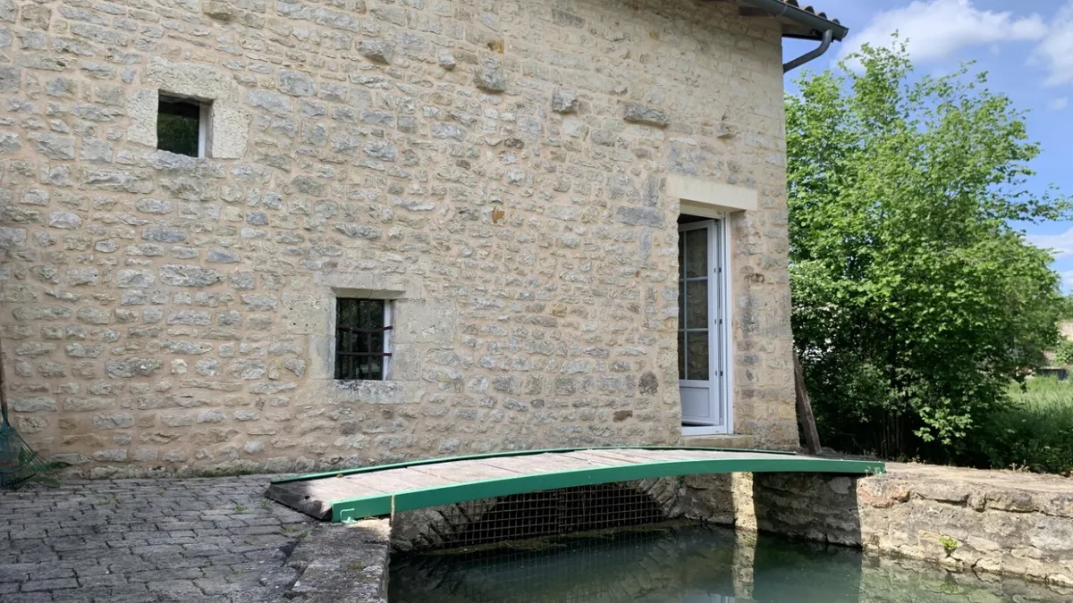 Photo 44
