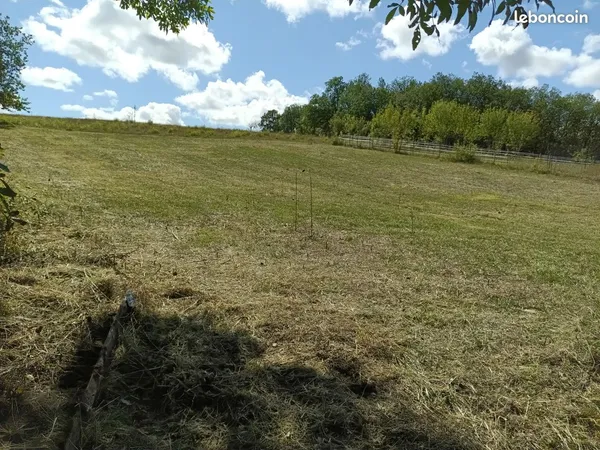 Terrain constructible