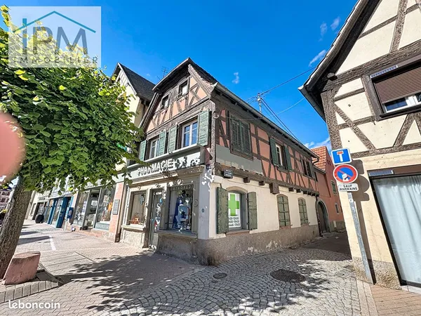 Maison 4 pièces 175 m²