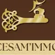 CESAM IMMO