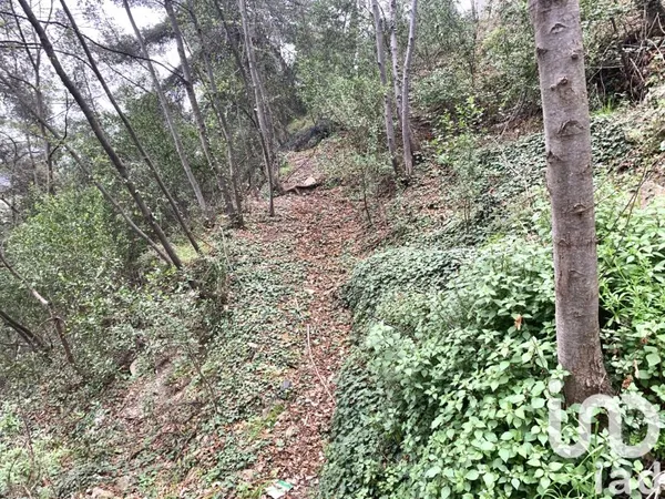 Terrain 1000 m²