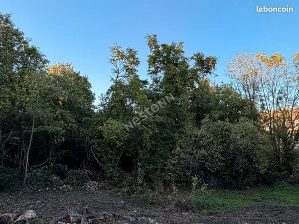 Terrain 217 m² SAINT FARGEAU PONTHIERRY