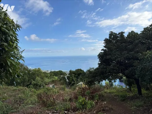 Terrain 1000 m²