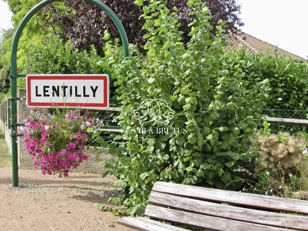Vends maison traditionnelle - 141.6 m² - 6 pièces, 5 chambres - Lentilly 69210