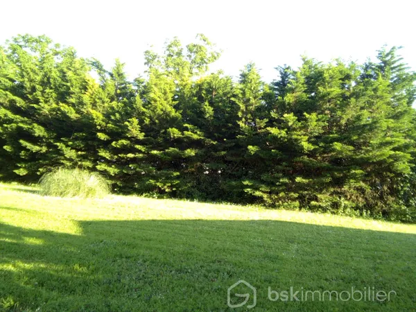 Terrain 417 m²