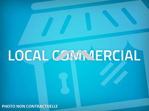 LOCAL PROFESSIONNEL / COMMERCIAL