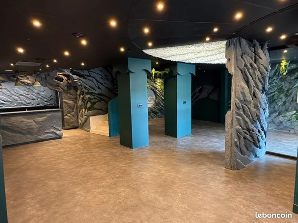Opportunité rare - Fonds de commerce 480 m² avec Licence IV en plein centre-ville