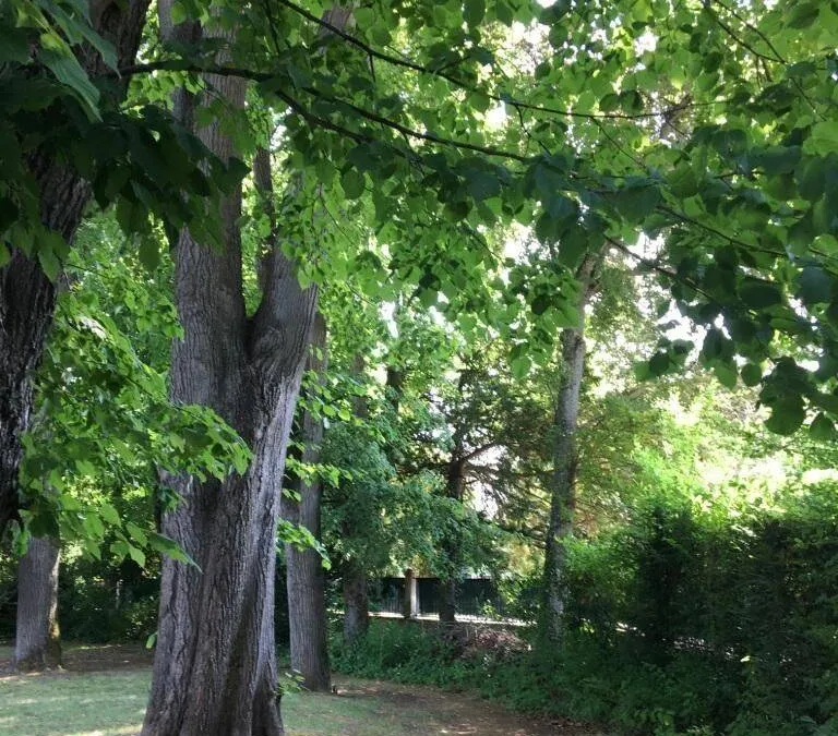 Photo 34