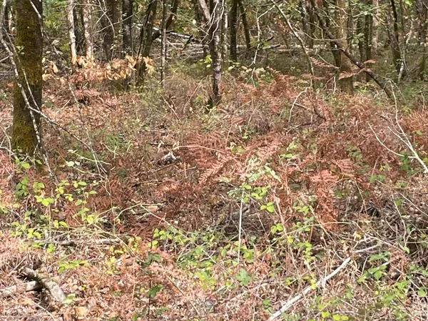 Terrain proche centre