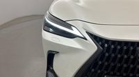 Lexus Nx 450h+ Executive 4WD MY24 — photo 17