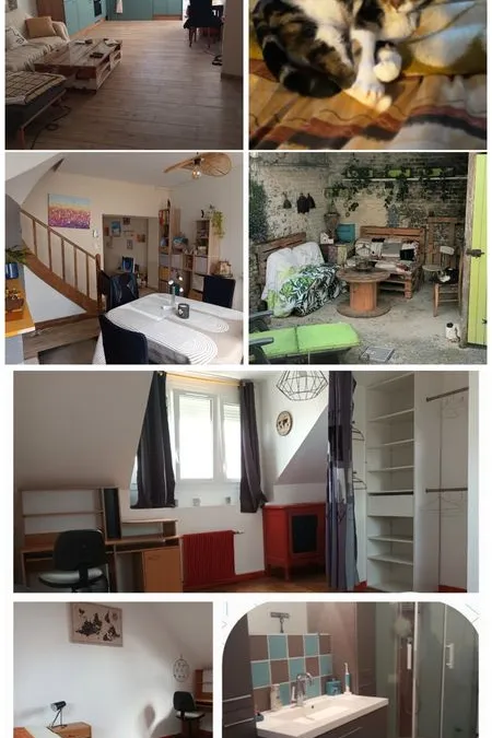 Photo 2