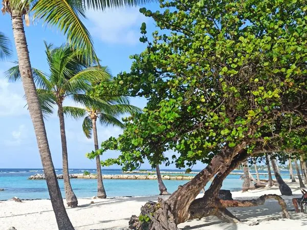 F2 Meublé Plage de Sainte-Anne