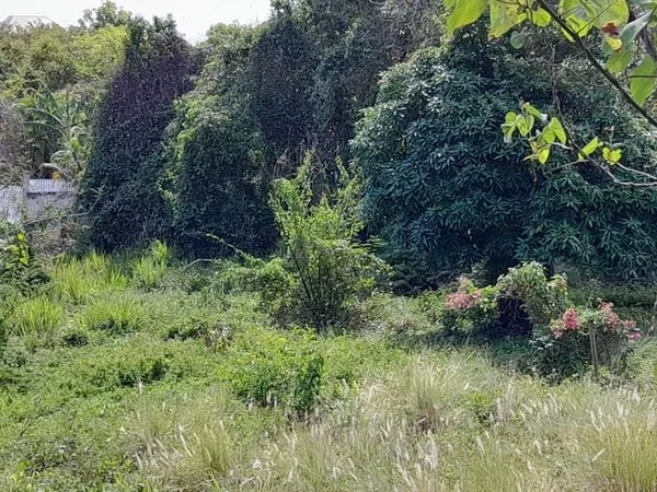 Terrain 1682 m²