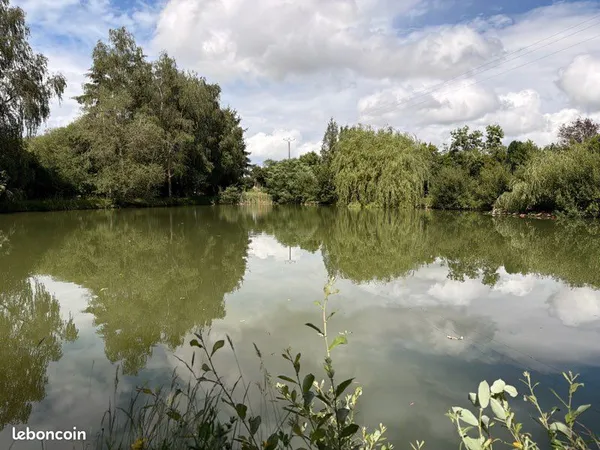 Étang de 3 000 m² avec chalet - Cadre naturel et paisible