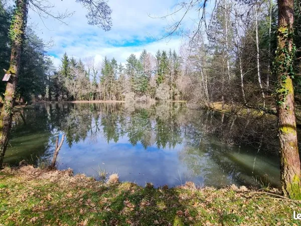 Terrain 11 150 m² Piegut Pluviers