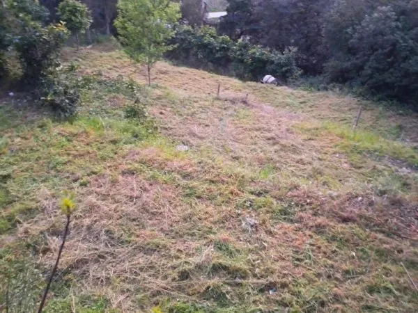 Terrain constructible 1002 m²